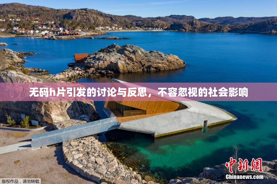 无码h片引发的讨论与反思，不容忽视的社会影响