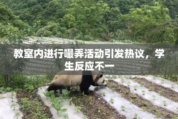 教室内进行嘬弄活动引发热议，学生反应不一