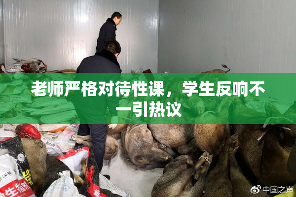 老师严格对待性课，学生反响不一引热议
