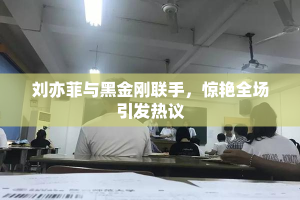 刘亦菲与黑金刚联手，惊艳全场引发热议