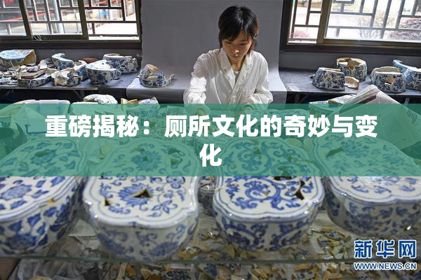 重磅揭秘：厕所文化的奇妙与变化