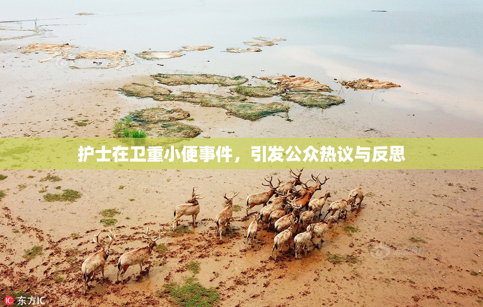 护士在卫重小便事件，引发公众热议与反思