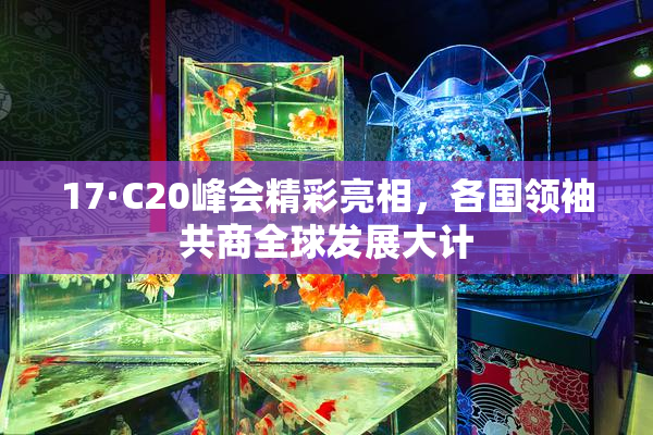 17·C20峰会精彩亮相，各国领袖共商全球发展大计