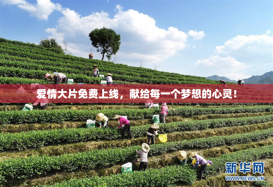 爱情大片免费上线，献给每一个梦想的心灵！