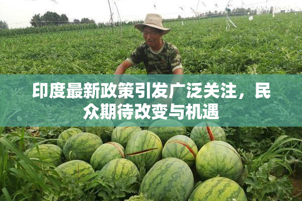 印度最新政策引发广泛关注，民众期待改变与机遇