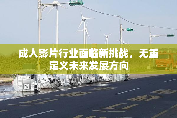 成人影片行业面临新挑战，无重定义未来发展方向