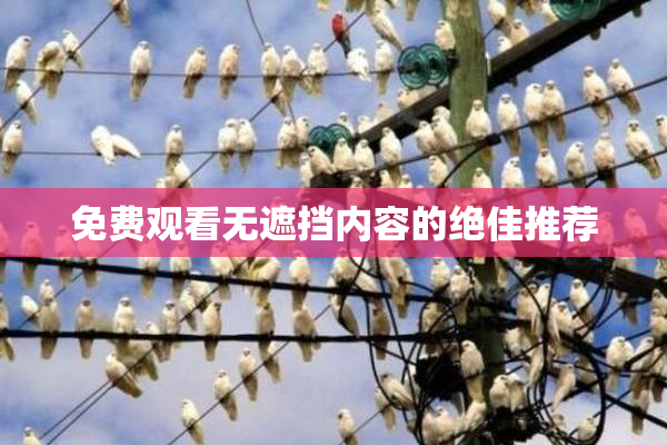 免费观看无遮挡内容的绝佳推荐