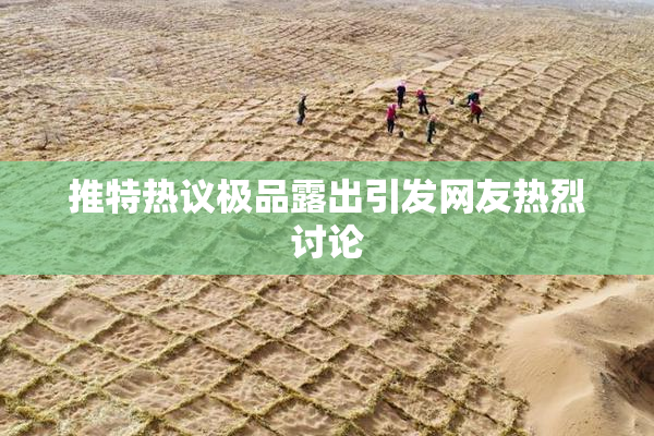 推特热议极品露出引发网友热烈讨论