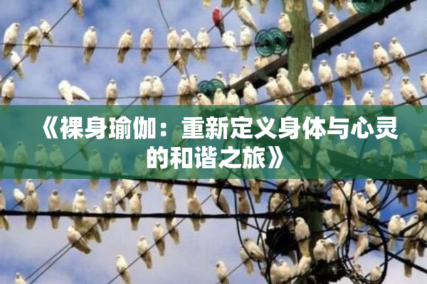 《裸身瑜伽：重新定义身体与心灵的和谐之旅》