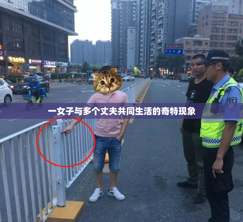 一女子与多个丈夫共同生活的奇特现象