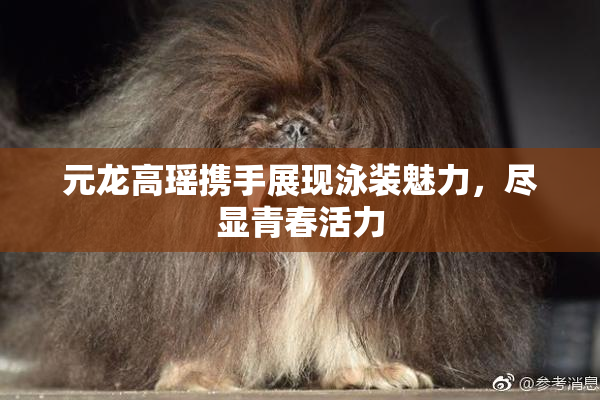 元龙高瑶携手展现泳装魅力，尽显青春活力