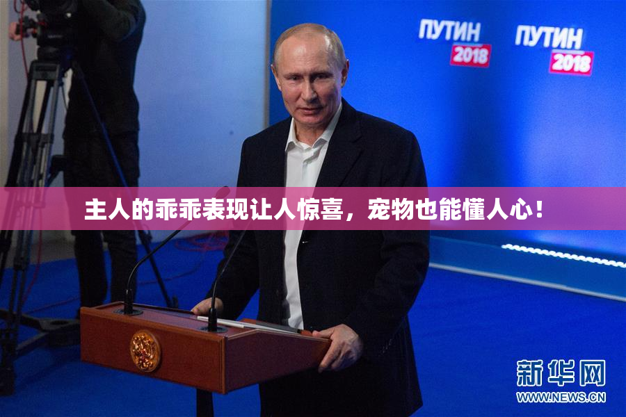 主人的乖乖表现让人惊喜，宠物也能懂人心！