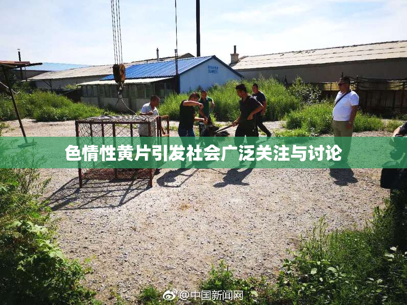 色情性黄片引发社会广泛关注与讨论