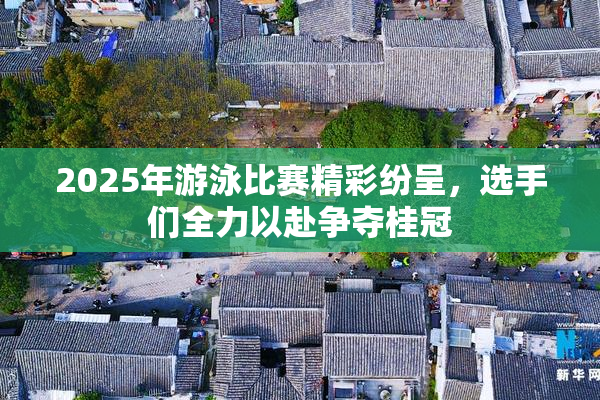 2025年游泳比赛精彩纷呈，选手们全力以赴争夺桂冠