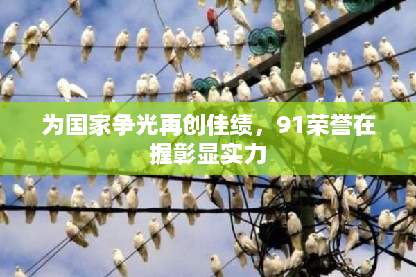 为国家争光再创佳绩，91荣誉在握彰显实力