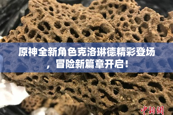 原神全新角色克洛琳德精彩登场，冒险新篇章开启！