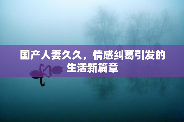 国产人妻久久，情感纠葛引发的生活新篇章