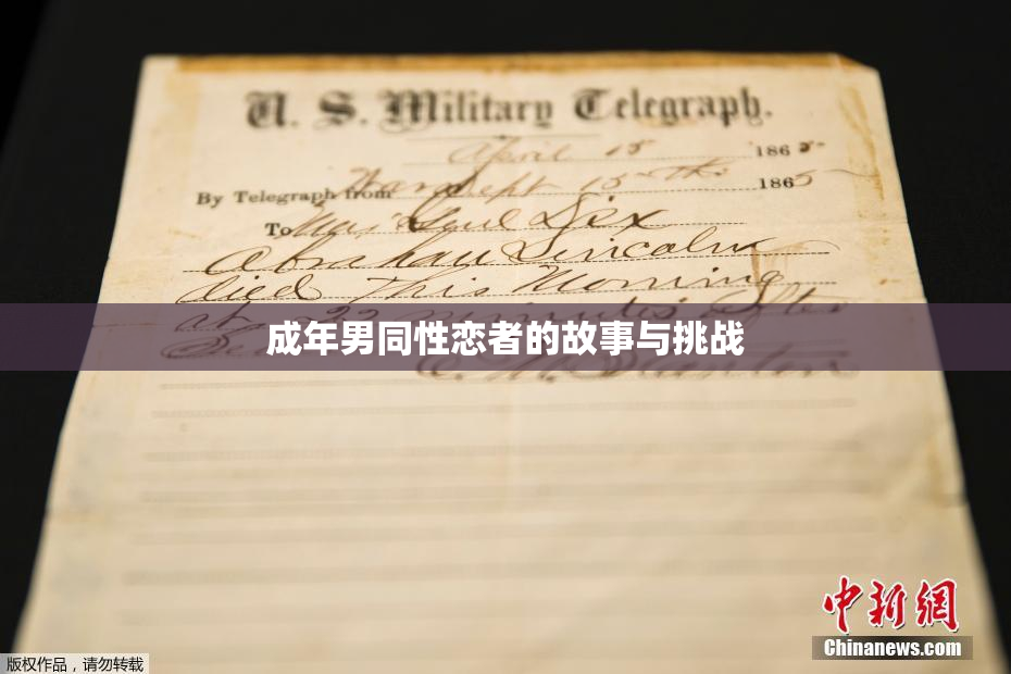 成年男同性恋者的故事与挑战