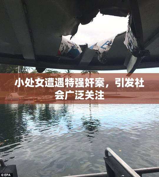 小处女遭遇特强奸案，引发社会广泛关注