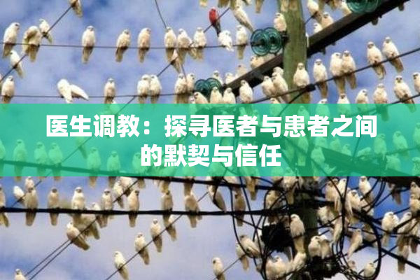 医生调教：探寻医者与患者之间的默契与信任