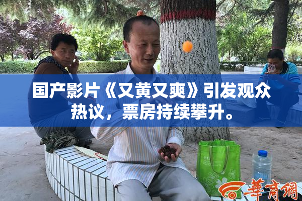 国产影片《又黄又爽》引发观众热议，票房持续攀升。