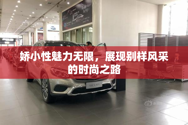 娇小性魅力无限，展现别样风采的时尚之路