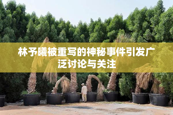 林予曦被重写的神秘事件引发广泛讨论与关注