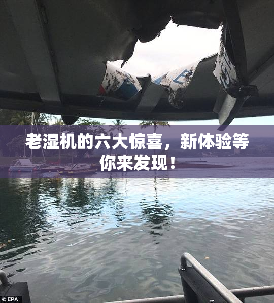 老湿机的六大惊喜，新体验等你来发现！