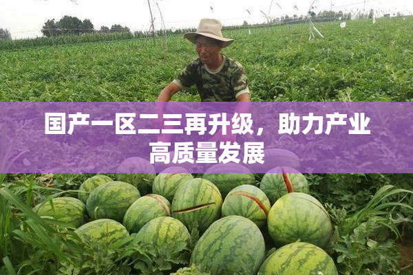 国产一区二三再升级，助力产业高质量发展