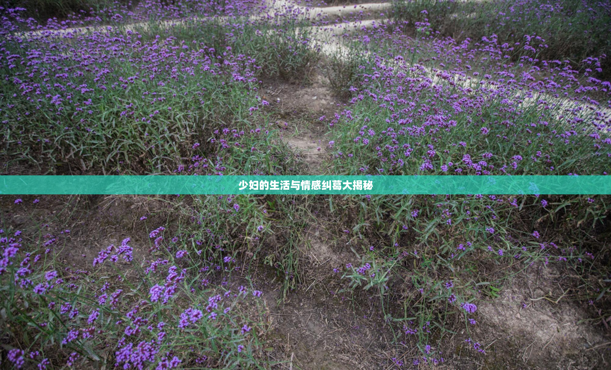 少妇的生活与情感纠葛大揭秘