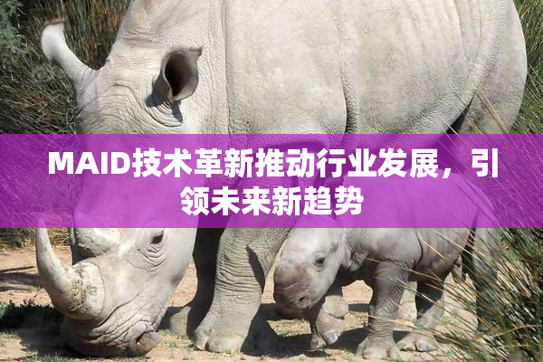 MAID技术革新推动行业发展，引领未来新趋势