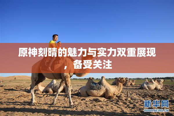 原神刻晴的魅力与实力双重展现，备受关注
