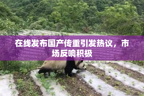 在线发布国产传重引发热议，市场反响积极
