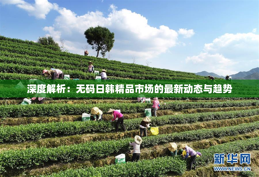 深度解析：无码日韩精品市场的最新动态与趋势