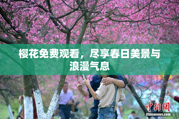 樱花免费观看，尽享春日美景与浪漫气息