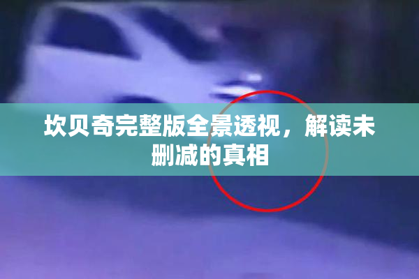 坎贝奇完整版全景透视，解读未删减的真相