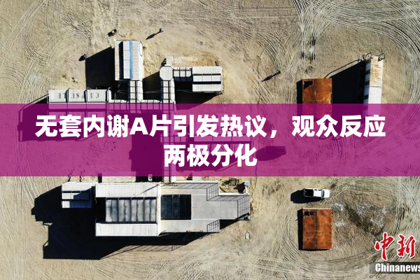 无套内谢A片引发热议，观众反应两极分化