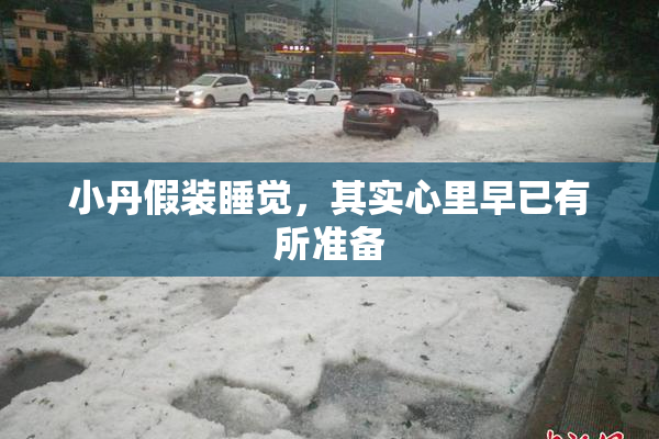 小丹假装睡觉，其实心里早已有所准备