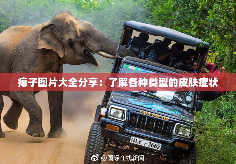 痱子图片大全分享：了解各种类型的皮肤症状