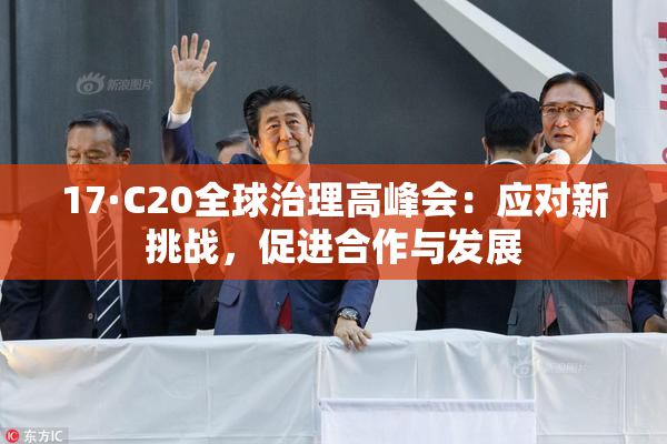 17·C20全球治理高峰会：应对新挑战，促进合作与发展
