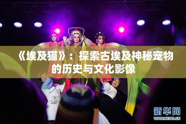 《埃及猫》：探索古埃及神秘宠物的历史与文化影像