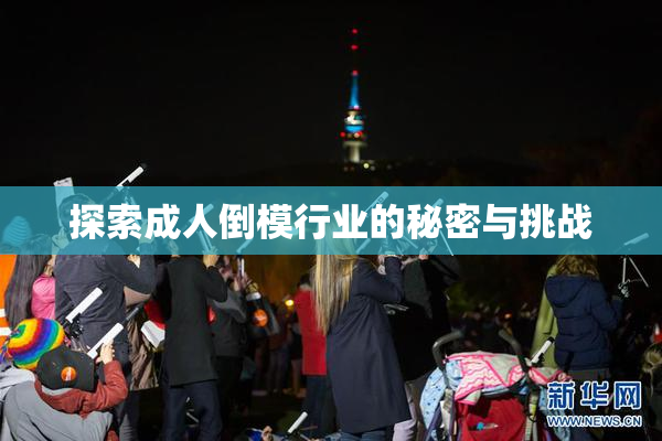 探索成人倒模行业的秘密与挑战