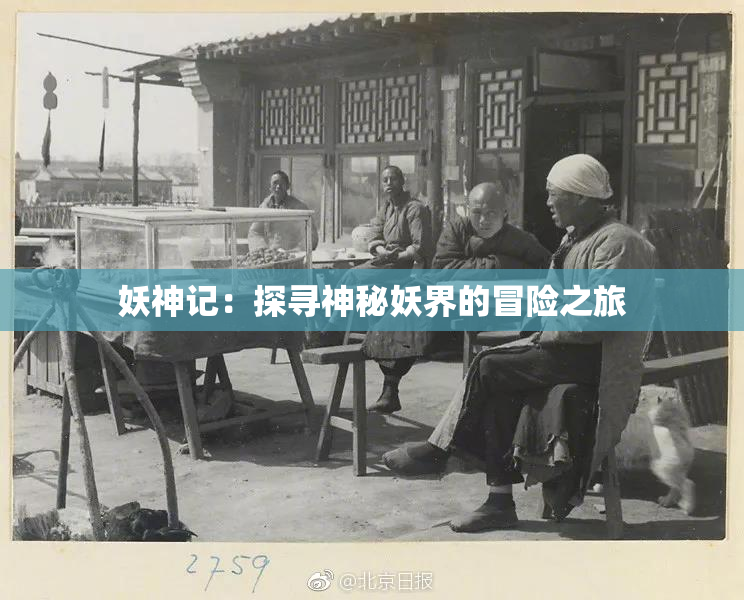 妖神记：探寻神秘妖界的冒险之旅