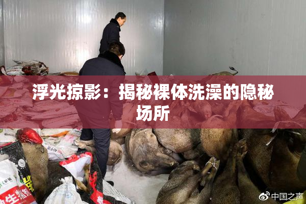 浮光掠影：揭秘裸体洗澡的隐秘场所