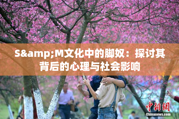 S&M文化中的脚奴：探讨其背后的心理与社会影响