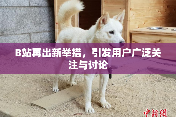 B站再出新举措，引发用户广泛关注与讨论