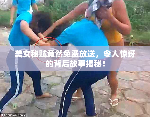 美女秘贼竟然免费放送，令人惊讶的背后故事揭秘！