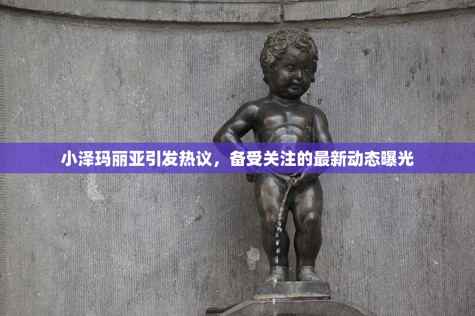 小泽玛丽亚引发热议，备受关注的最新动态曝光