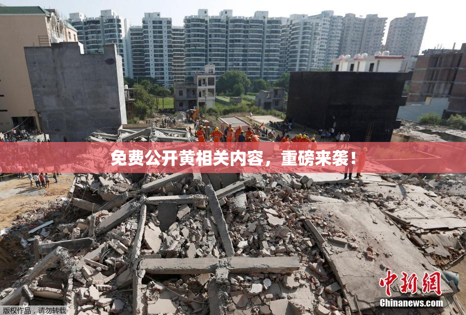 免费公开黄相关内容，重磅来袭！