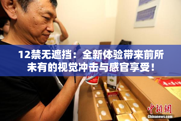 12禁无遮挡：全新体验带来前所未有的视觉冲击与感官享受！